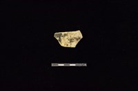 藏品(陶片)的圖片